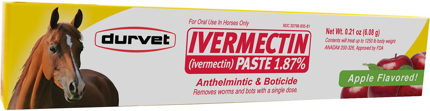 Ivermectin Paste 1.87% 0.21 oz (6.08 g) tube 1