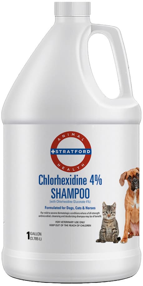 Chlorhexidine Champú 1 gallon 4% 1
