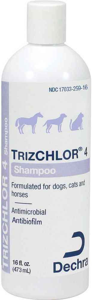 TrizCHLOR 4 Shampoo 16 oz 1