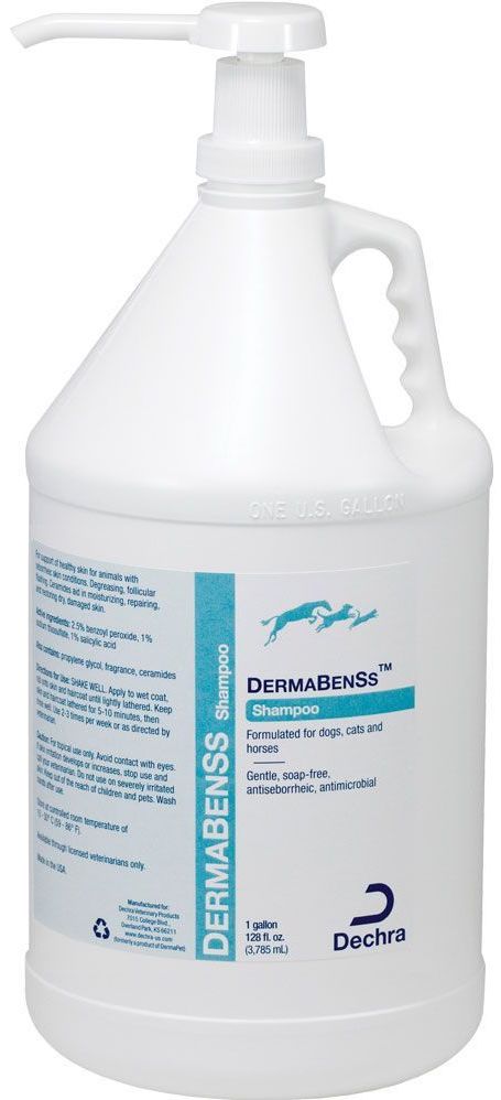 DermaBenSs Shampoo 1 gallon 1