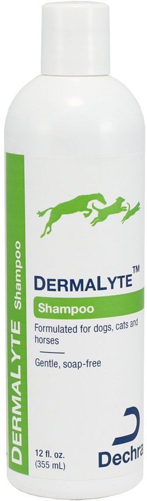 DermaLyte Shampoo 12 oz 1