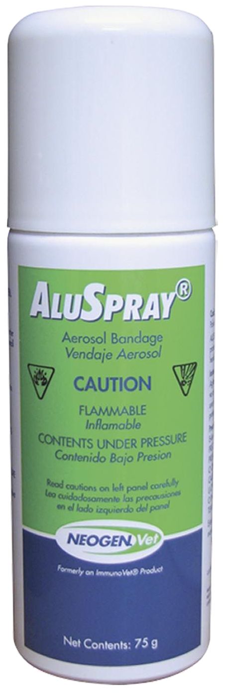 Aluspray Bandage Aerosol Spray 75 g 1