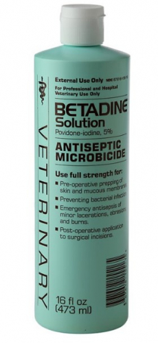 Betadine Solution 16 oz 1