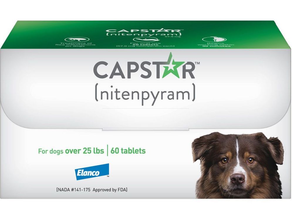 Capstar 60 tablets for dogs over 25 lbs (Green) 1