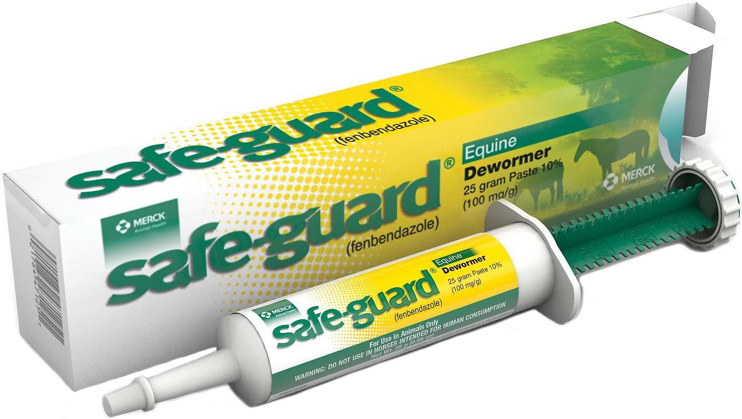 Safe-Guard Pasta 1 syringe 10% 25 g 1