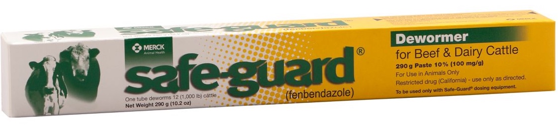 Safe-Guard Pasta 290 g 1 syringe 10% 1