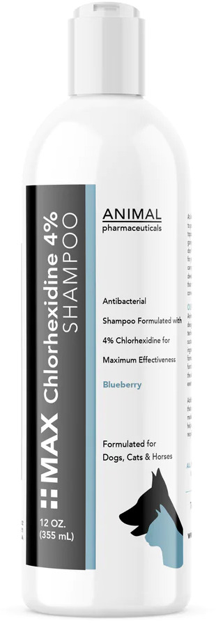 Animal Pharmaceuticals Max Chlorhexidine Champú 4% 16 oz Blueberry 1