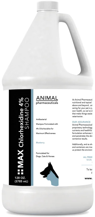 Animal Pharmaceuticals Max Chlorhexidine Champú Blueberry 4% 1 gallon 1
