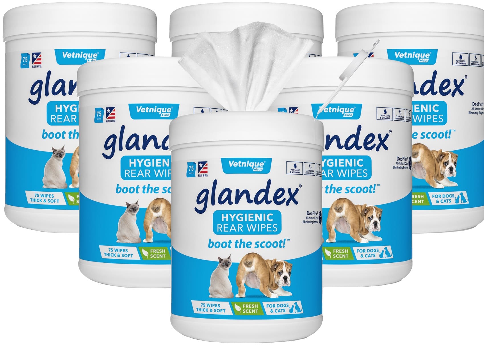 Glandex Anal Gland Hygienic Pet Wipes 75 count (6 Pack) 1