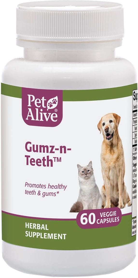 PetAlive Gumz-n-Teeth 60 veggie capsules 1