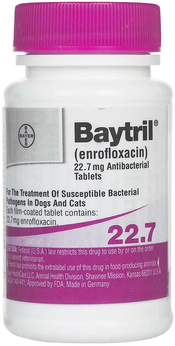 Baytril Comprimidos 
