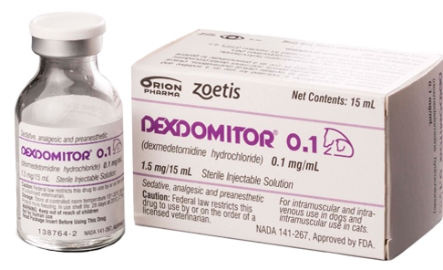 Dexdomitor 0.1 Solución Inyectable