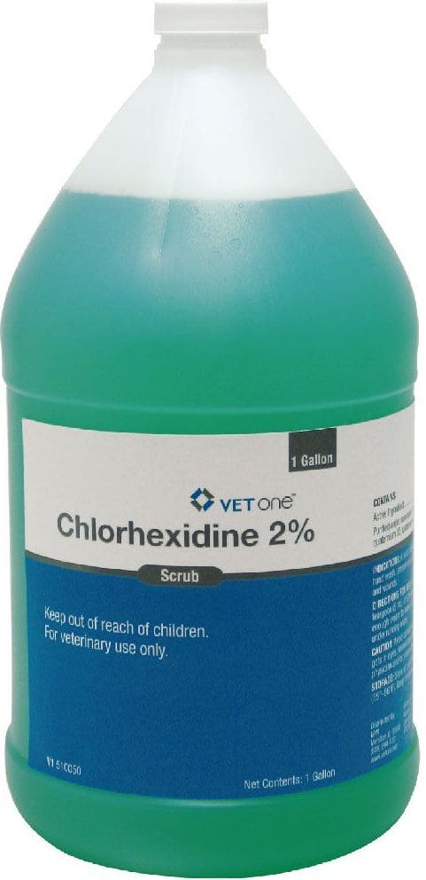 Chlorhexidine Scrub