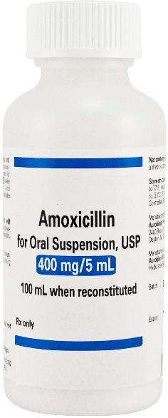 Amoxicillin Suspensión Oral