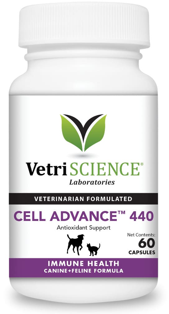 VetriScience Cell Advance 440